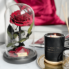 Dunkelrote Rose wie Schöne und das Biest neben brennender Kerze