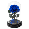 Dark Blue Rose im Glas Infinity Dome Rose