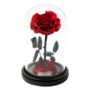 Infinity Rosen im Glass Dome Rosen in Rot