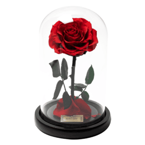 Fioriera Infinity - Rosa Conservata In Scatola - Fiore Eterno Che Non Appassisce - Regalo Per San Valentino, Festa Della Mamma, Compleanno - Rosa