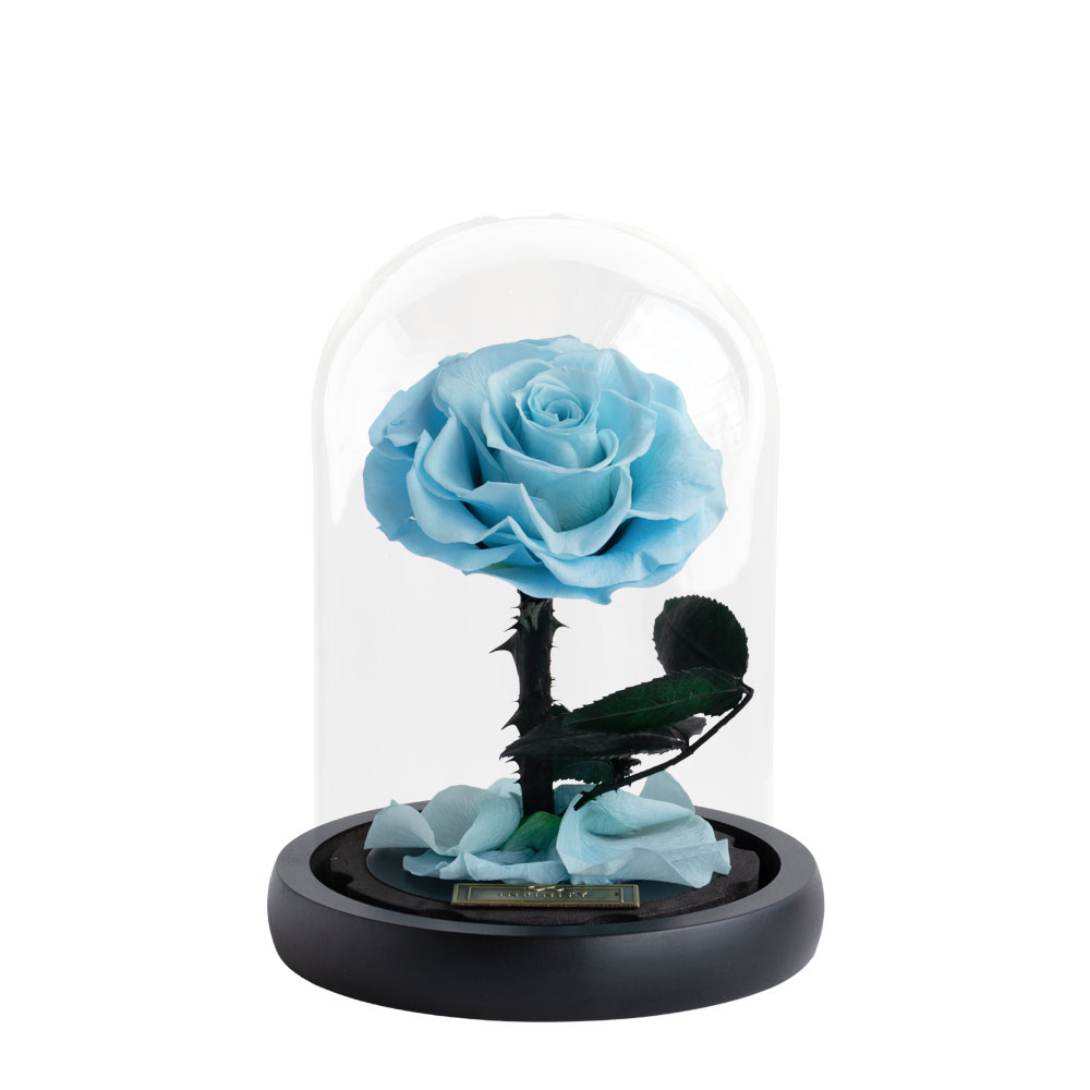 Kleine Rose im Glas Kuppel Infinity Rose