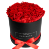 3-BB-VR-min Infinity Flowerbox large mit Rosen in der Farbe Rot