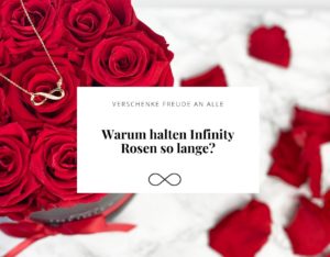 warum halten Infinity Rosen so lange?