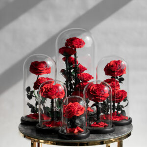 Infinity Rosen im Glass Dome Rosen in Rot