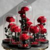 Dome Rosen im Glass Größen Vergleich