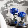 Dome Royal Blue S und L