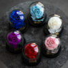 Infinity Rosen im Glass Mini Dome Rosen Petite in Rot