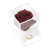 Single Box Acryl