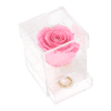 Single Box Acryl