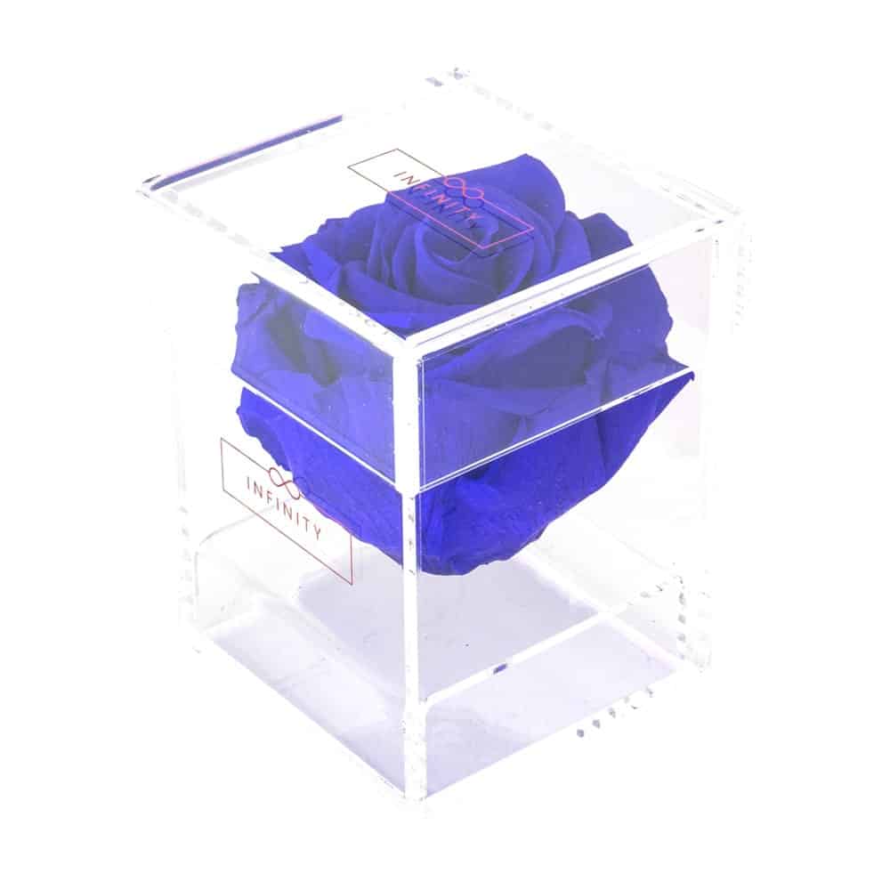 Einzelne blaue Rose in arcrylbox