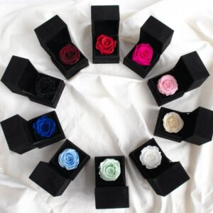 Single Velvet Box Infinity Flowerbox alle Farben