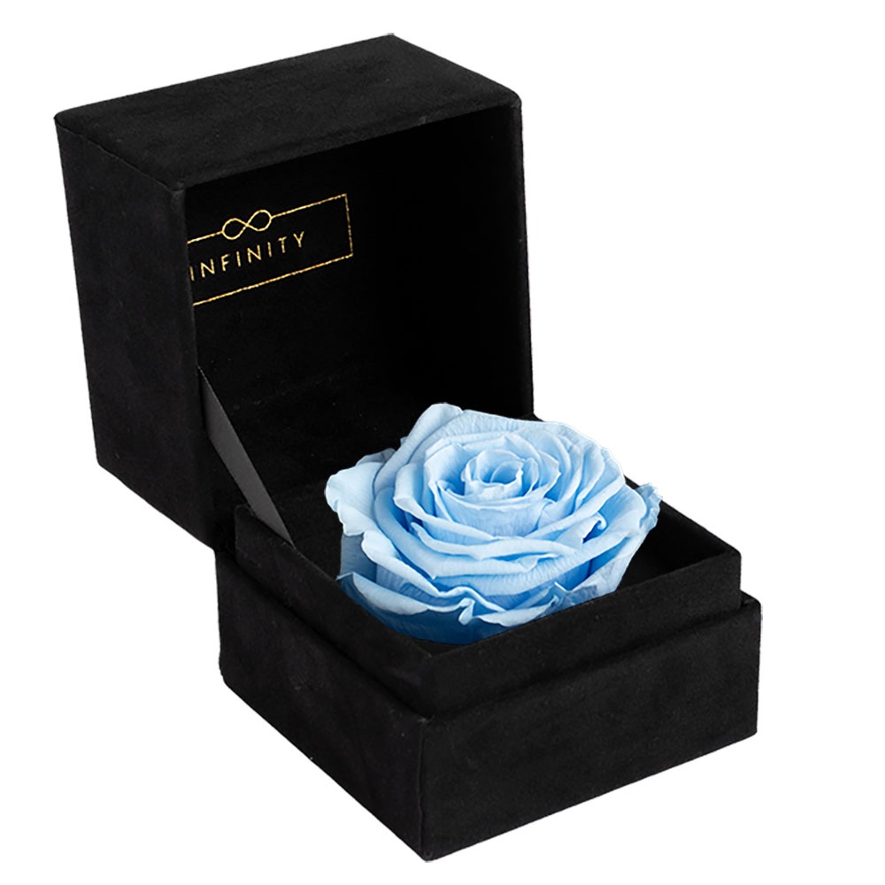 Infinity Single Velvet Klappschachtel mit haltbare Rose in hellblau