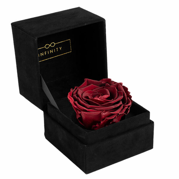 Infinity Single Velvet Klappschachtel mit haltbare Rose in dunkelrot