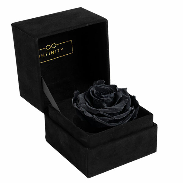 Infinity Single Velvet Klappschachtel mit haltbare Rose in schwarz