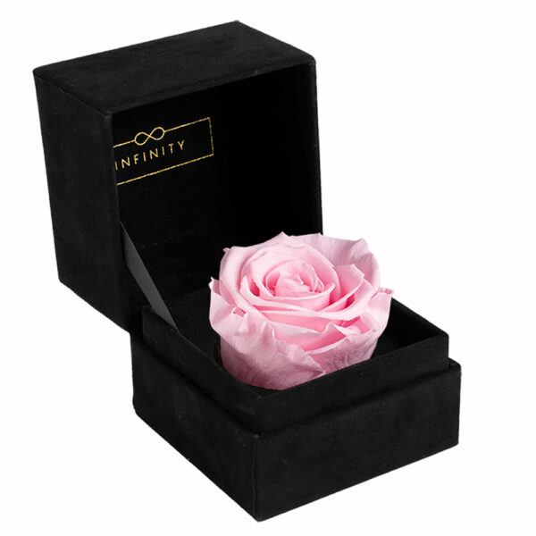 Infinity Single Velvet Klappschachtel mit haltbare Rose in rosa