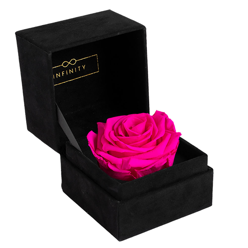 Infinity Single Velvet Klappschachtel mit haltbare Rose in pinken