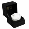 Single Velvet Box Infinity Flowerbox alle Farben