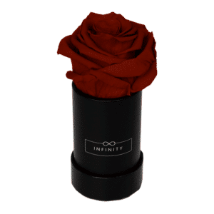 Extra Small Burgundy infinity Rose