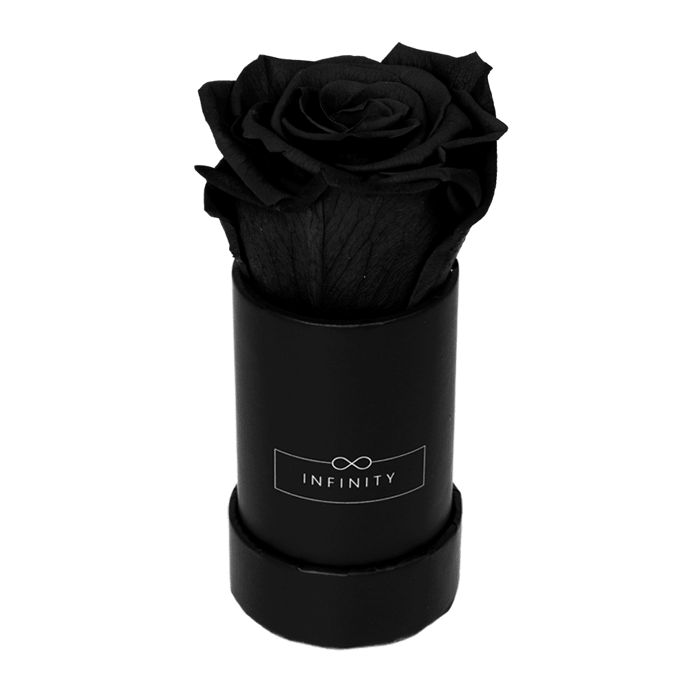 Produktbild Extra Small Black Beauty Blumen die lange halten