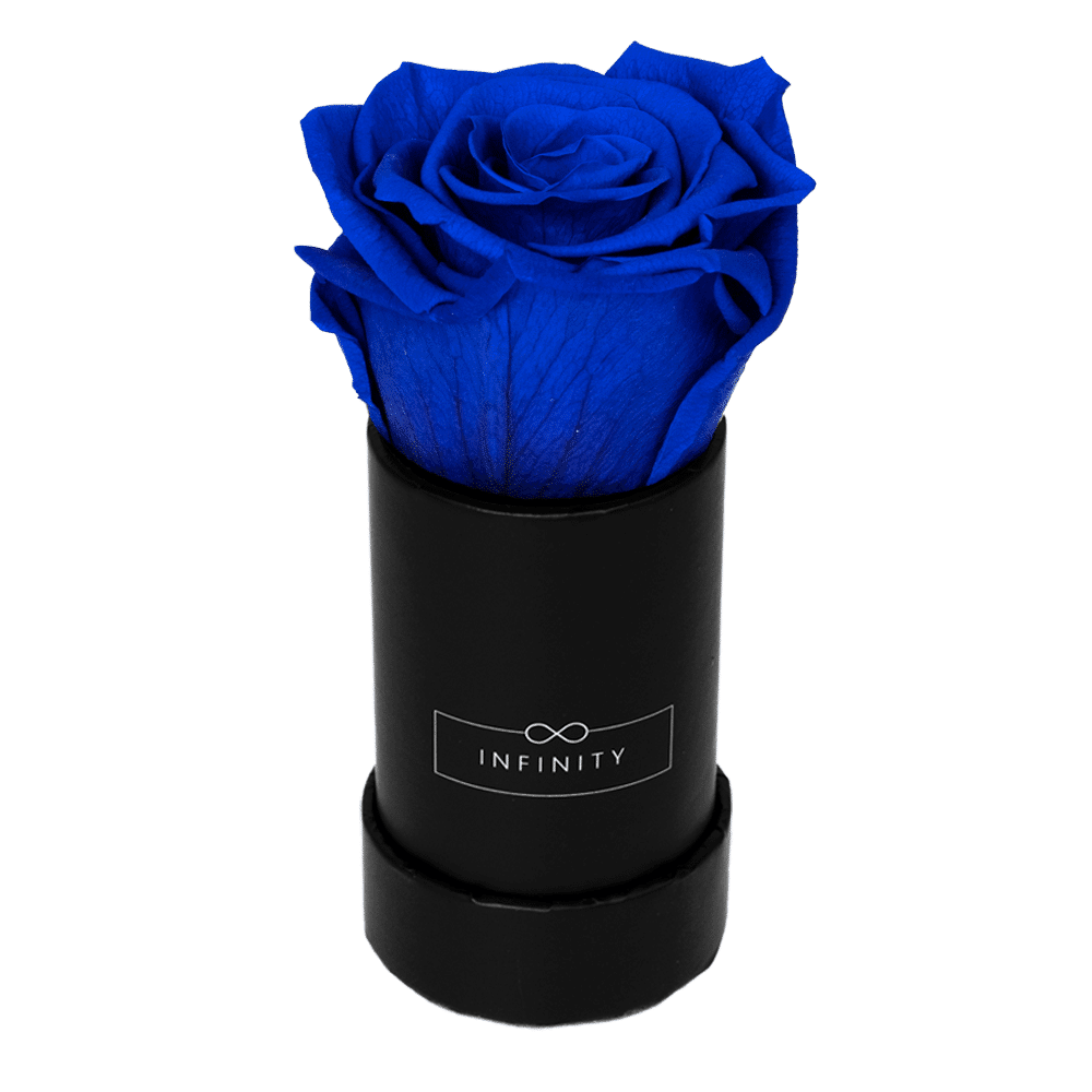 Produktbild Extra Small schwarz Royal Blue Blumen in der box