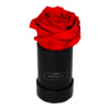Image du produit Extra Small noir Vibrant Red Rosen in box