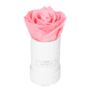 Produktbild Extra Small schwarz Vibrant Red Rosen in box