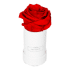 Produktbild Extra Small schwarz Vibrant Red Rosen in box
