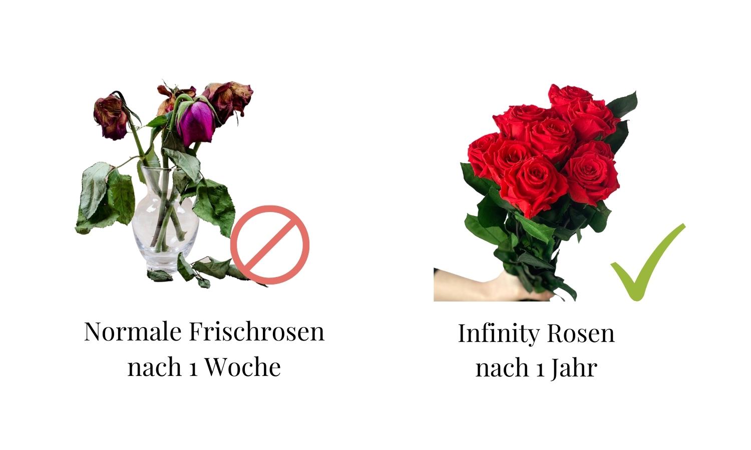 Roses comparison