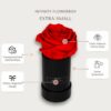 Infinity Flowerbox Extra Small Rosenbox Infografik