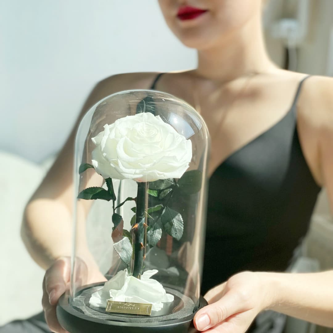 Rose_im_Glas