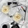 Acryl Box mit Champagne Infinity Rose