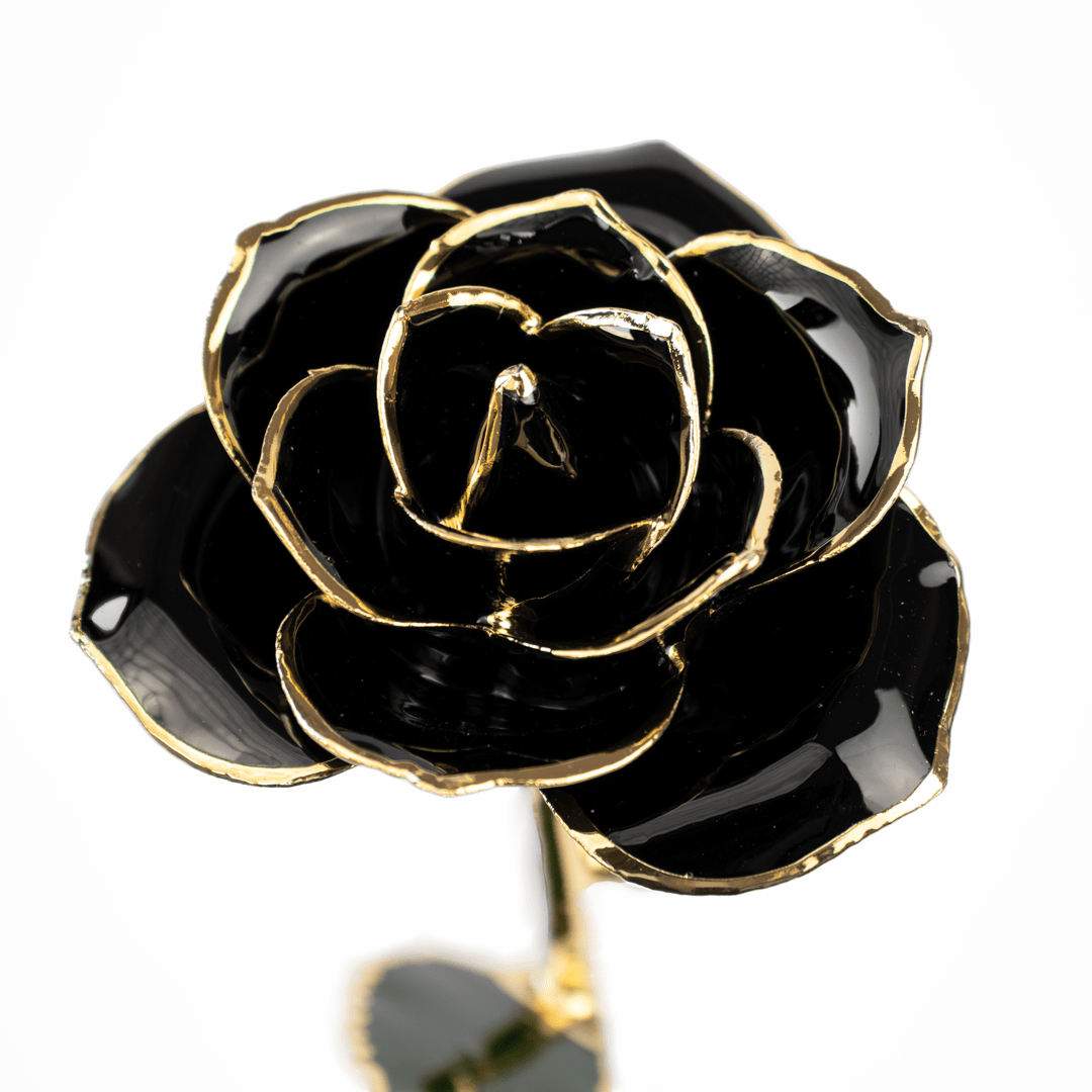 24K BL close-min hübsche infinity Rose mit 24k Gold in Schwarz