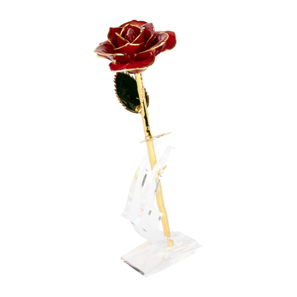 Rote Rose vergoldet mit Arcyl Display
