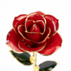 hübsche infinity Rose mit 24k Gold in Vibrant Red