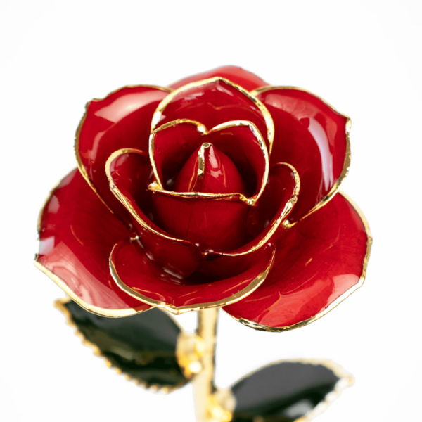hübsche infinity Rose mit 24k Gold in Vibrant Red