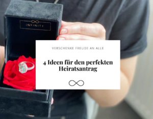 Single Velvet mit Red Vibrant infinity Rose