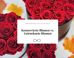 konservierte Blumen VS getrocknete Blumen