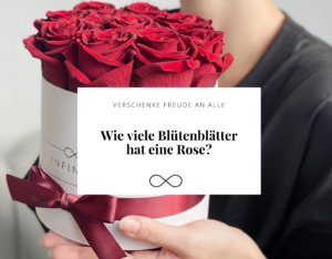 Wie viele Rosenblätter hat eine Rose