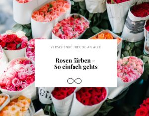 Rosen färben - so einfach gehts
