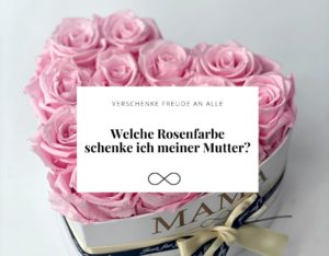 Welche Rosenfarbe schenke ich meiner Mutter ?