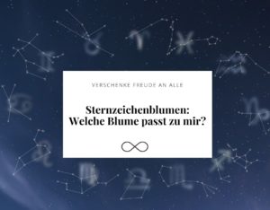 Sternzeichenblumen: Welche Blume passt zu mir ?