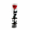 Mini Stem Infinity haltbare konservierte Rose am Stiel rot
