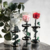 Mini Stem Infinity haltbare konservierte Rose am Stiel weiß rosa und rot