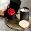 Single Velvet – Bild 3