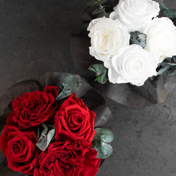 Small Infinity haltbare Rosen und England Rosen