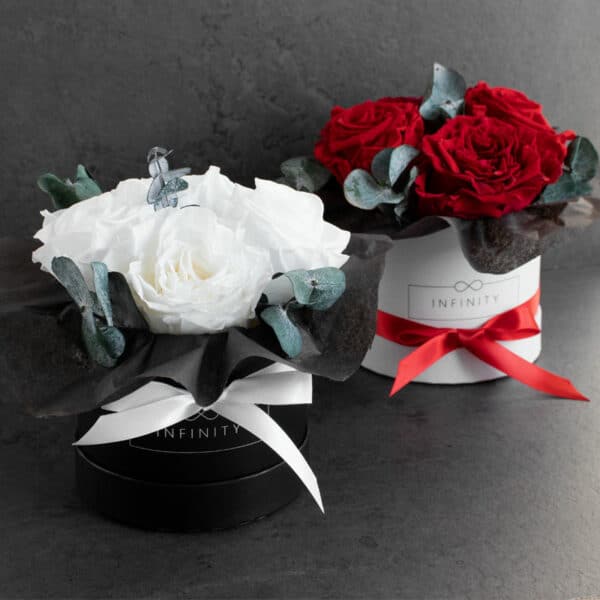 Small Flowerbox haltbare Rosen und England Rosen