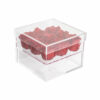 Medium Acrylbox mit neun roten Infinity Rosen