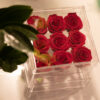 Neun rote konservierte Rosen jahrelang haltbar in Kosmetikbox
