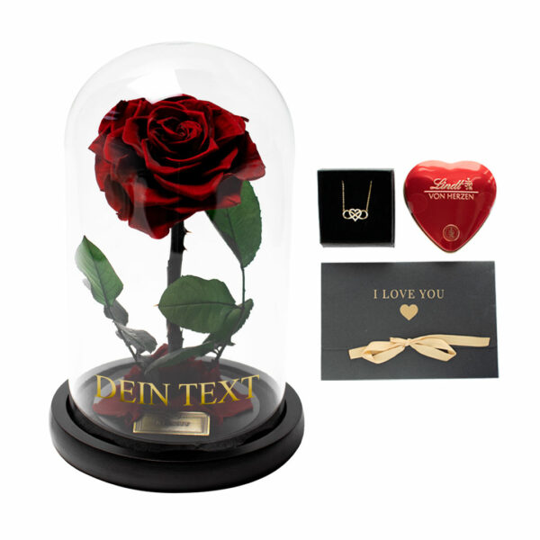 Dunkelrote Rose die jahrelang hält Infinity Dome