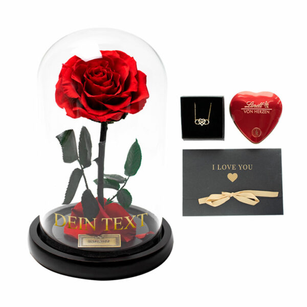 Beauty and the Beast bundle Geschenkset